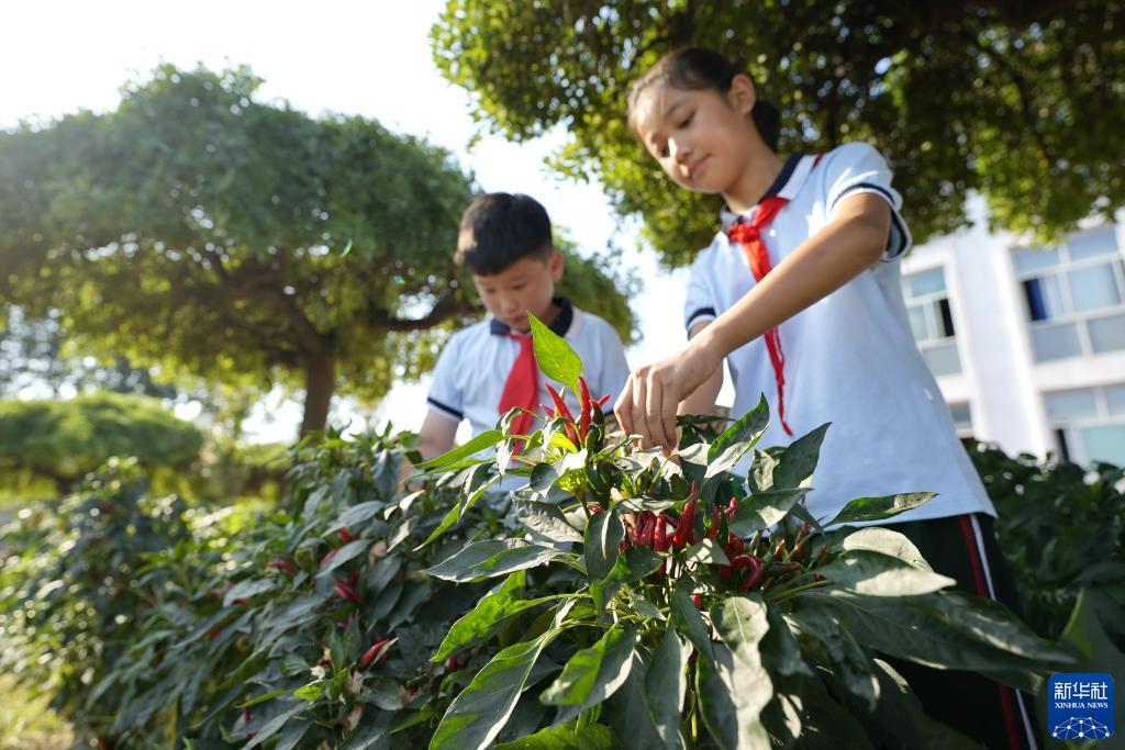 金沙总站网址